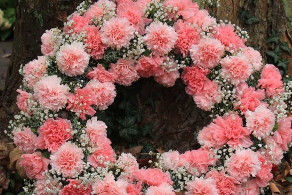 Pink carnations funeral flowers funeral preplanning options